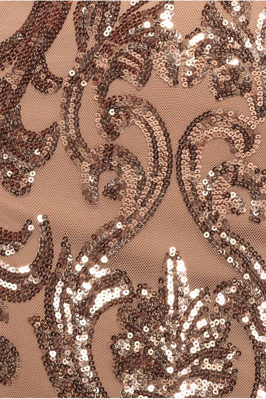 Goddiva Embroidered Sequin & Mesh Maxi Dress - Champagne