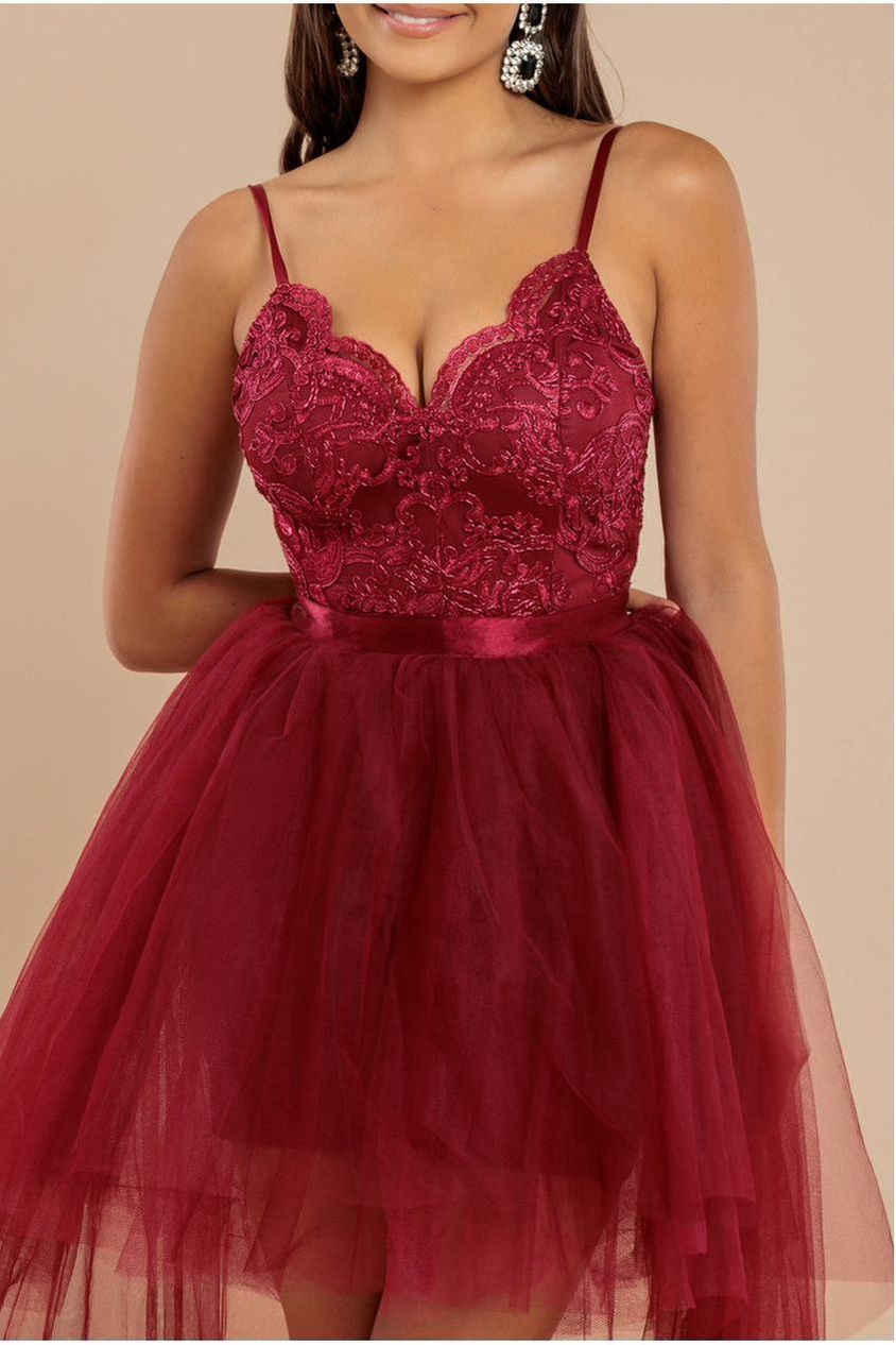 Goddiva High Low Tulle Mini With Lace Bodice - Wine
