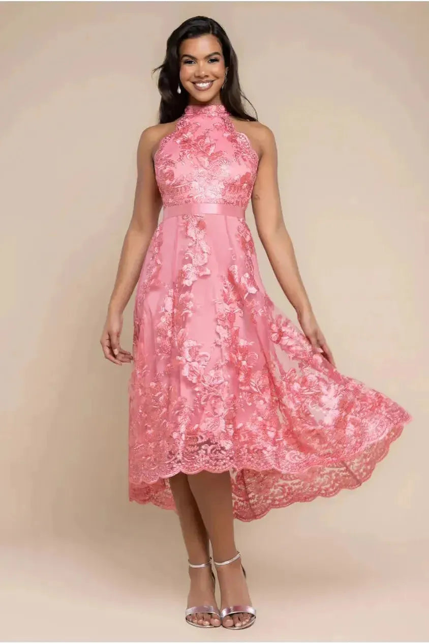 Goddiva Halter Neck Lace High And Low Dress - Coral