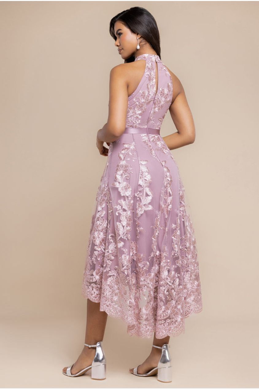 Goddiva Halter Neck Lace High And Low Dress - Pink