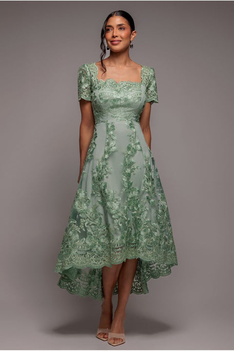Goddiva Scalloped Neck Embroidered Lace High Low Midi Dress - Sage Green