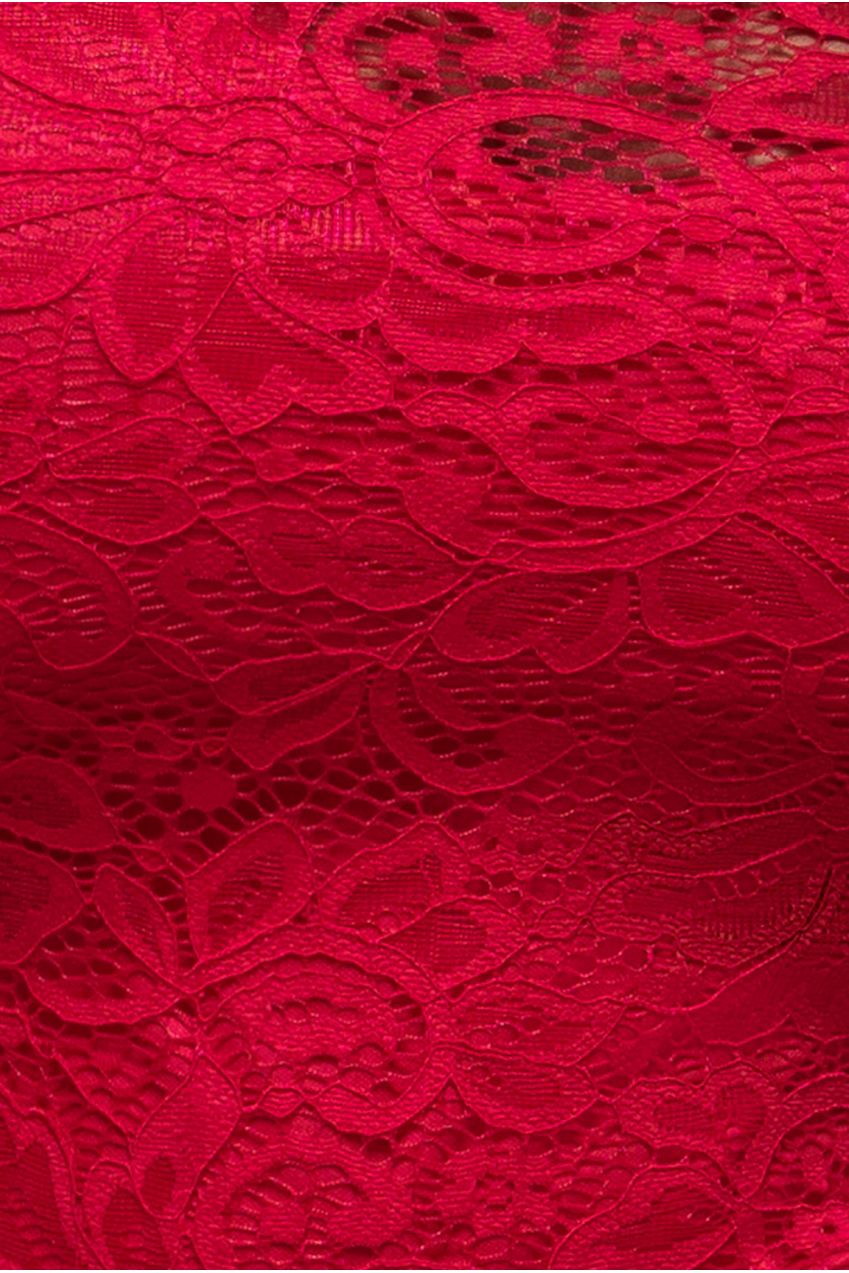 Goddiva Lace High Neck Sheer Bodice Long Sleeve Maxi Dress - Red