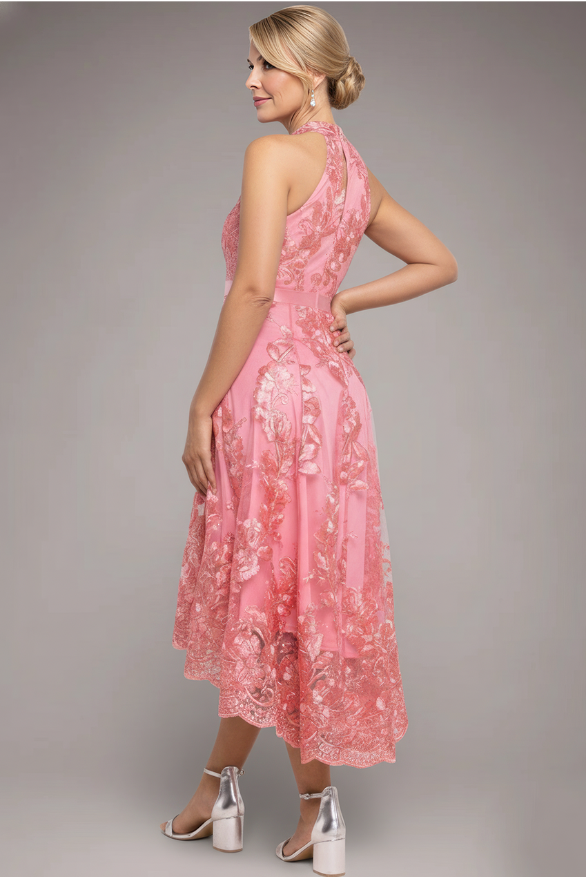 Goddiva Halter Neck Lace High And Low Dress - Coral