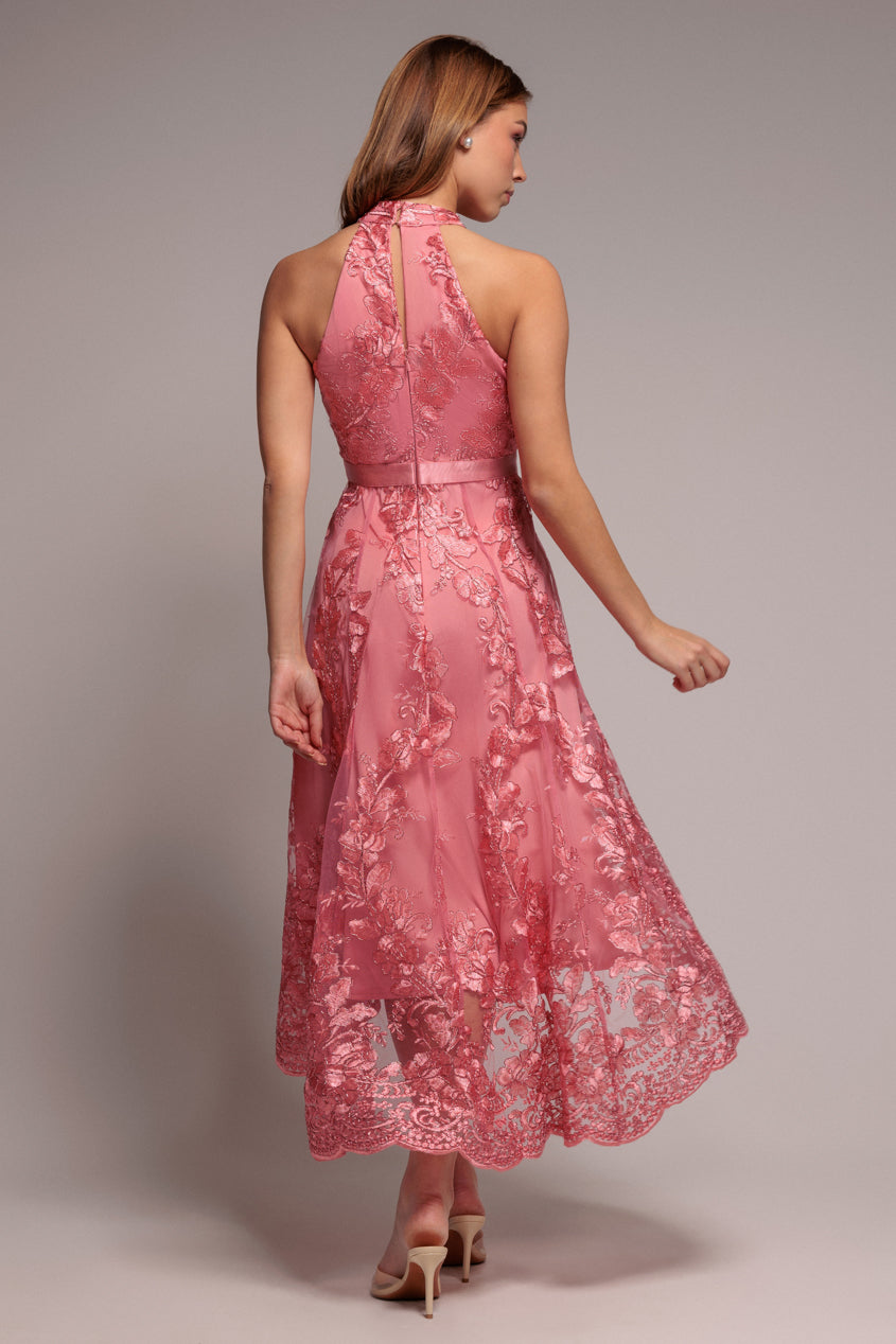 Goddiva Halter Neck Lace High And Low Dress - Coral