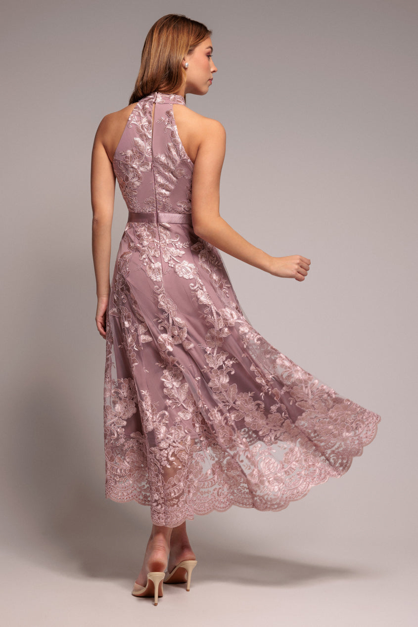 Goddiva Halter Neck Lace High And Low Dress - Pink