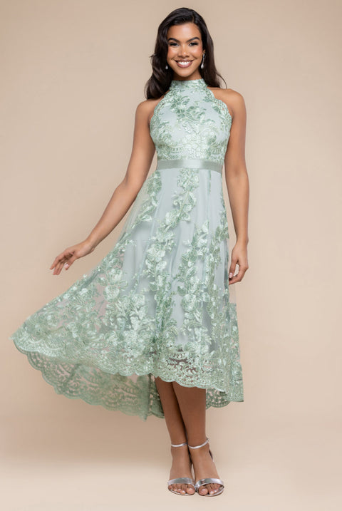 Goddiva Halter Neck Lace High And Low Dress - Sage Green