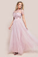 Goddiva Embroidered Mesh Maxi Dress - Blush