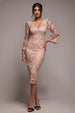 Goddiva Sequin Scallop Lace Midi Dress - Champagne