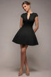 Goddiva Cap Sleeve Plunging V-Neckline Skater Mini Dress - Black