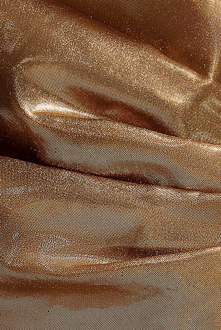 Goddiva Plunge Neck Bardot Foil & Organza Maxi Dress - Gold