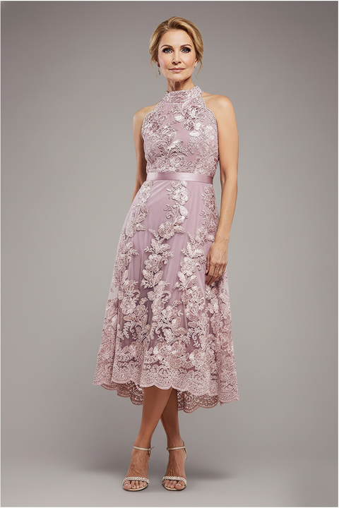 Goddiva Halter Neck Lace High And Low Dress - Blush Pink