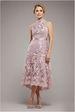 Goddiva Halter Neck Lace High And Low Dress - Blush Pink