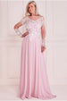 Goddiva Mesh & Lace Embroidered Bodice Maxi - Blush